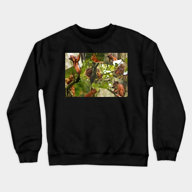 Red Squirrels Crewneck Sweatshirt by Furtographic